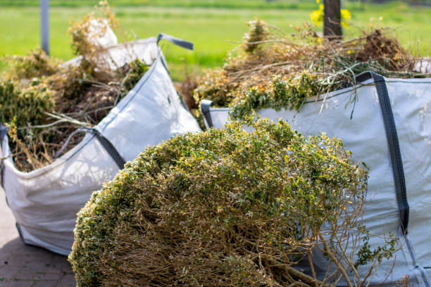 Best Commercial Cleanout Services  in Marionville, MO